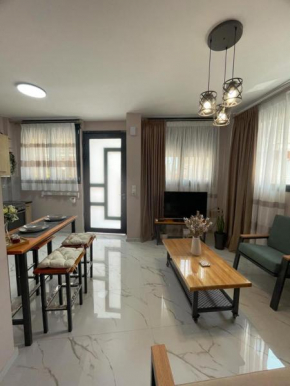 Anastasia's Luxury House